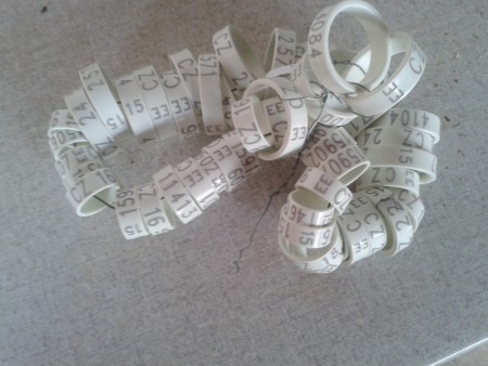 Kroužky ČSCH drůbež